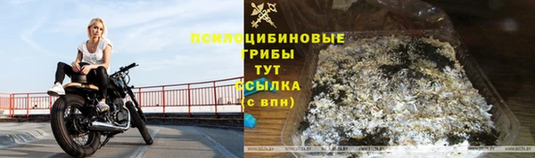 прущие грибы Беломорск