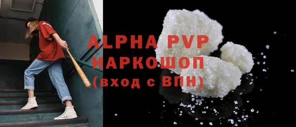 прущие грибы Беломорск