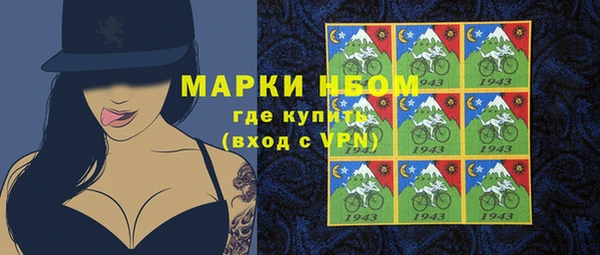 прущие грибы Беломорск