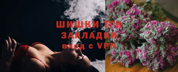 прущие грибы Беломорск